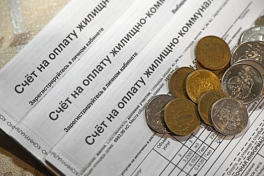 Депутат Разворотнева: Не было решений о строке об уборке в квитанциях