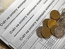 Депутат Разворотнева: Не было решений о строке об уборке в квитанциях