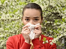 Эксперт объяснила, что прогнозировать пик сезонной аллергии сложно из-за изменчивой погоды