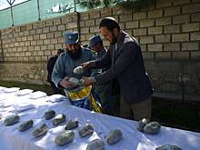 Россия даст Таджикистану 250 миллионов рублей на борьбу с наркотиками
