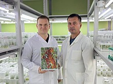 Тамбовские ученые к юбилею И.В. Мичурина представили 23 новых сорта ягодных культур