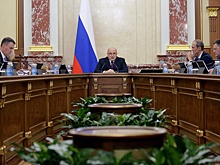 Кабмин выделит 900 млн рублей на помощь аграриям, пострадавшим от заморозков