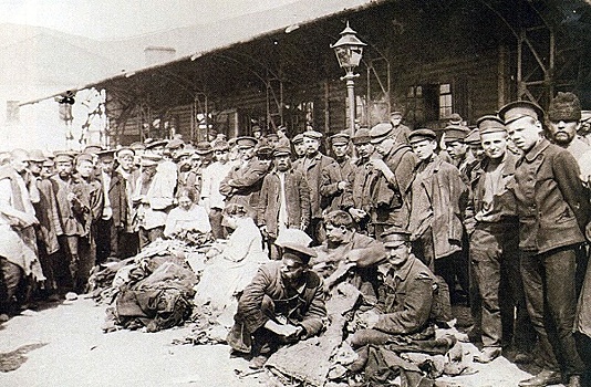 Желтая лихорадка и другие болезни, против которых у русских нет иммунитета