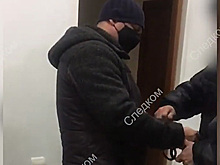 Задержание замглавы Ставрополья попало на видео
