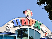 Очередная попытка: проект реконструкции цирка в Краснодаре отдали новой компании