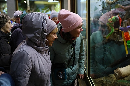 В Декаду пожилых людей для пенсионеров провели экскурсию в Новосибирском зоопарке