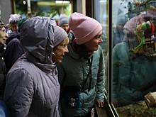 В Декаду пожилых людей для пенсионеров провели экскурсию в Новосибирском зоопарке