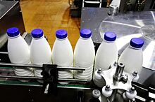 Более 400 производителей молочки попали в «черный список»