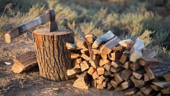МК: Румыния заверила Молдавию в помощи дровами