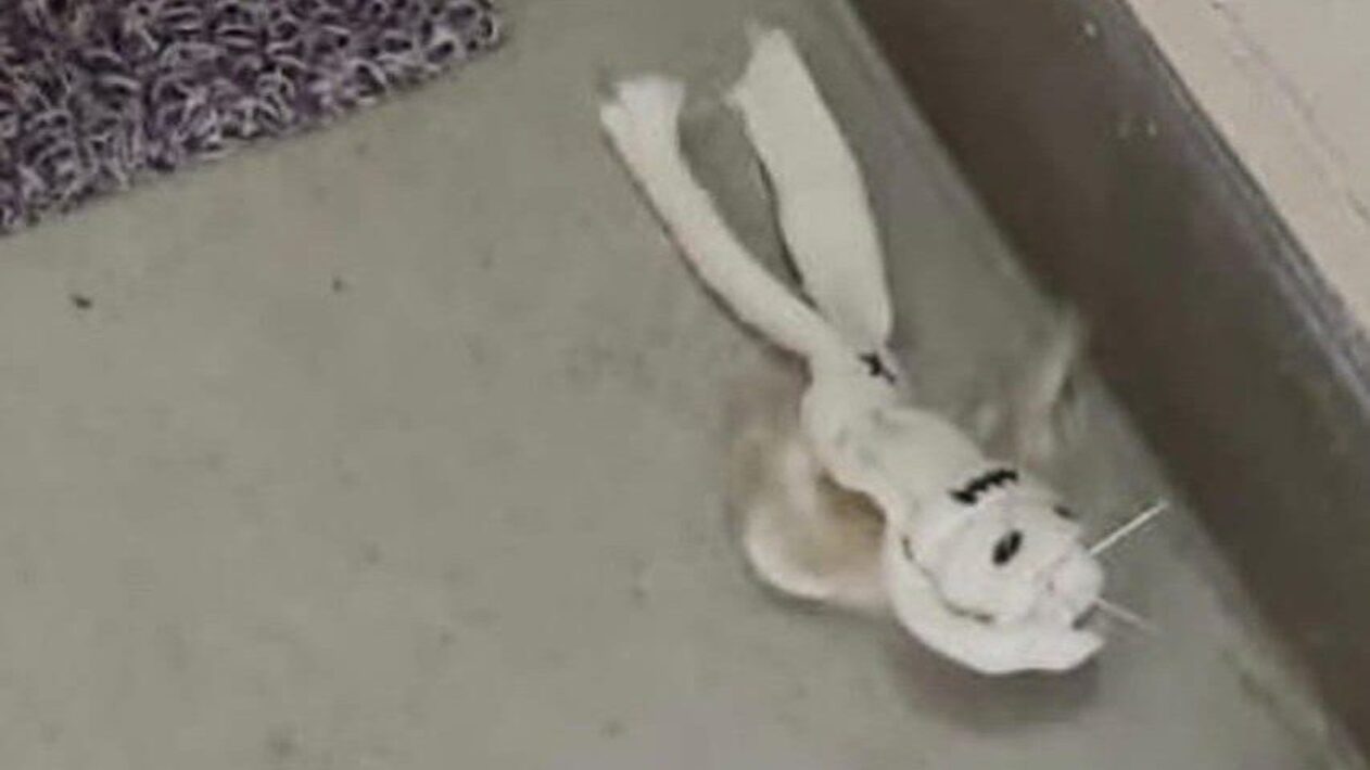 Насыпать под дверь соседям. Подклады под дверь красный. Подарок под дверью. Коллекторы долг дверь. Под дверь подкинули.