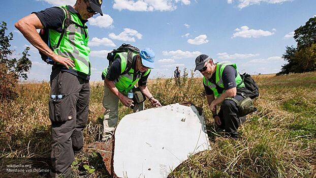 Эксперты ВФБП считают, что Киев причастен к крушению рейса MH17