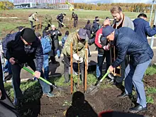 В Самаре у стадиона "Солидарность Самара Арена" высадили аллею ветеранов МВД