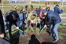 В Самаре у стадиона "Солидарность Самара Арена" высадили аллею ветеранов МВД