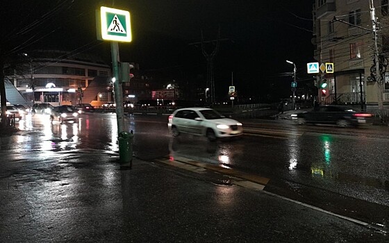 В Рязани ищут свидетелей апрельского наезда на женщину