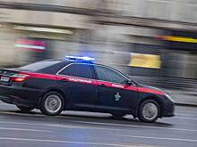Силовики задержали привязавшую себя к кресту на кладбище художницу