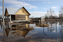 В Вологодской области из-за паводка эвакуируют жителей поселка Кадуй