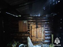 В Игре недогоревшее полено привело к пожару