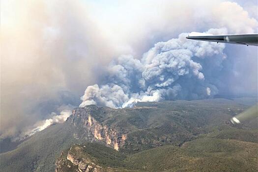 Ученые: пожары в Австралии вызваны климатическими изменениями