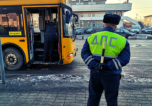 Мятежного перевозчика «кошмарят» на владимирском автовокзале