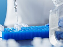 Вирусолог Чумаков призвал россиян не беспокоиться из-за «кракена»