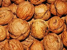 Что можно и чего категорически нельзя делать на Ореховый Спас