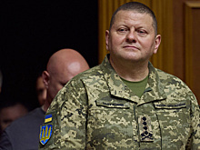 Раскрыты мотивы заявления Залужного о гражданской войне на Украине