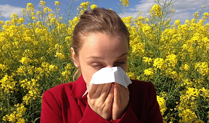 Эксперты рассказали, как избавиться от весенней аллергии