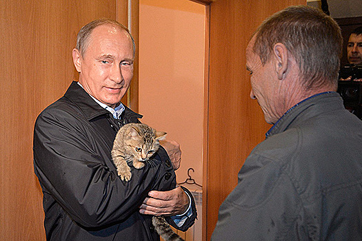 Путин познакомился с кошкой из Хакасии