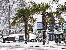 Академик Геннадий Матишов: Мы движемся к малому ледниковому периоду