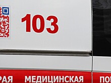 Детей из «мусорной» квартиры госпитализировали