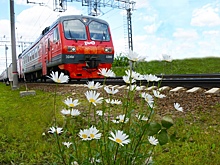 С калужских электричек с начала года сняли 21 зацепера