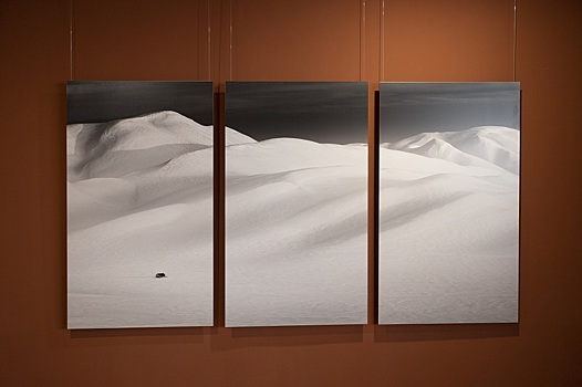 «Белая выставка» в Челябинске: минимализм и лаконичность уральской зимы