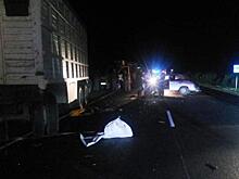 В Увельском районе пьяный бесправник угробил пассажира