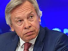 В Совфеде отреагировали на заявление Пентагона о ядерной войне с Россией