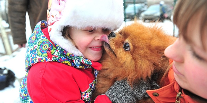 Записаться к ветеринару владельцы кошек или собак из Митина могут через mos.ru