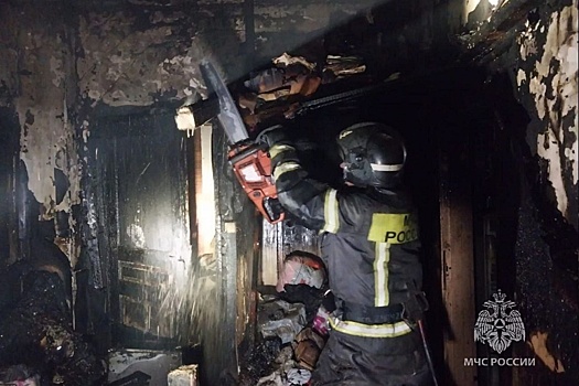 В Амурской области при пожаре пострадали двое детей