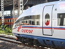 Милонов предложил бить по рукам за высокие цены на «Сапсан» при ЧП в аэропортах