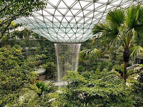 Под куполом здания в аэропорту Сингапура создали высочайший водопад