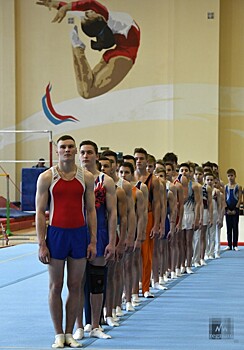 Спортивные гимнасты уверенно выступили на Чемпионате Санкт-Петербурга