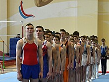 Спортивные гимнасты уверенно выступили на Чемпионате Санкт-Петербурга