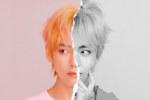 Почему BTS называют своих поклонников АРМИ?