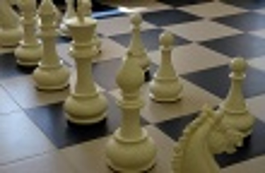 Онлайн-игры по шахматам провели на базе «Маяка»