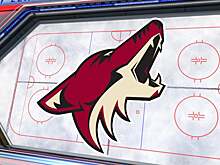 «Аризона» подала заявку на строительство новой арены в Темпе – пригороде Финикса