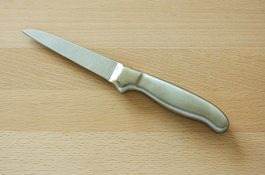 Ученик принес в школу Кронштадта раскладной нож и ранил девочку