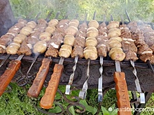 Мэрия Челябинска решила бороться с шашлычниками, чтобы очистить воздух