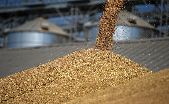 Россия обсудит со странами Африки новые маршруты для поставок зерна