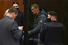 Суд признал Навального виновным в клевете на ветерана