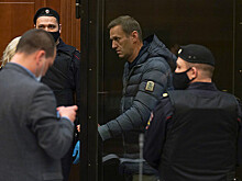 Суд признал Навального виновным в клевете на ветерана