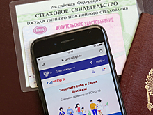 На «Госуслугах» разрешат менять пароль через доверенное лицо. Как это защитит от мошенников