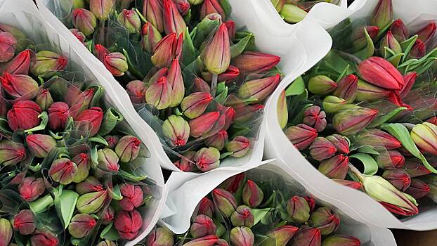 КамАЗ с тюльпанами угнали в подмосковном Домодедове